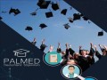 24052020-palmed-stipendium-fur-studenten-sommer-2020